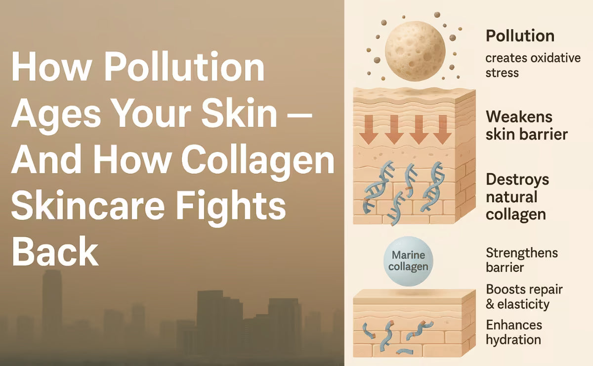 How Pollution Ages Your Skin and How Collagen Skincare Fights Back
