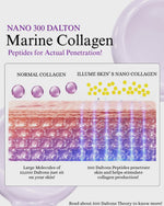7% Collagen and Ceramide Face Moisturiser |10% Gotu Kola | Dewy Dream | 50 ml